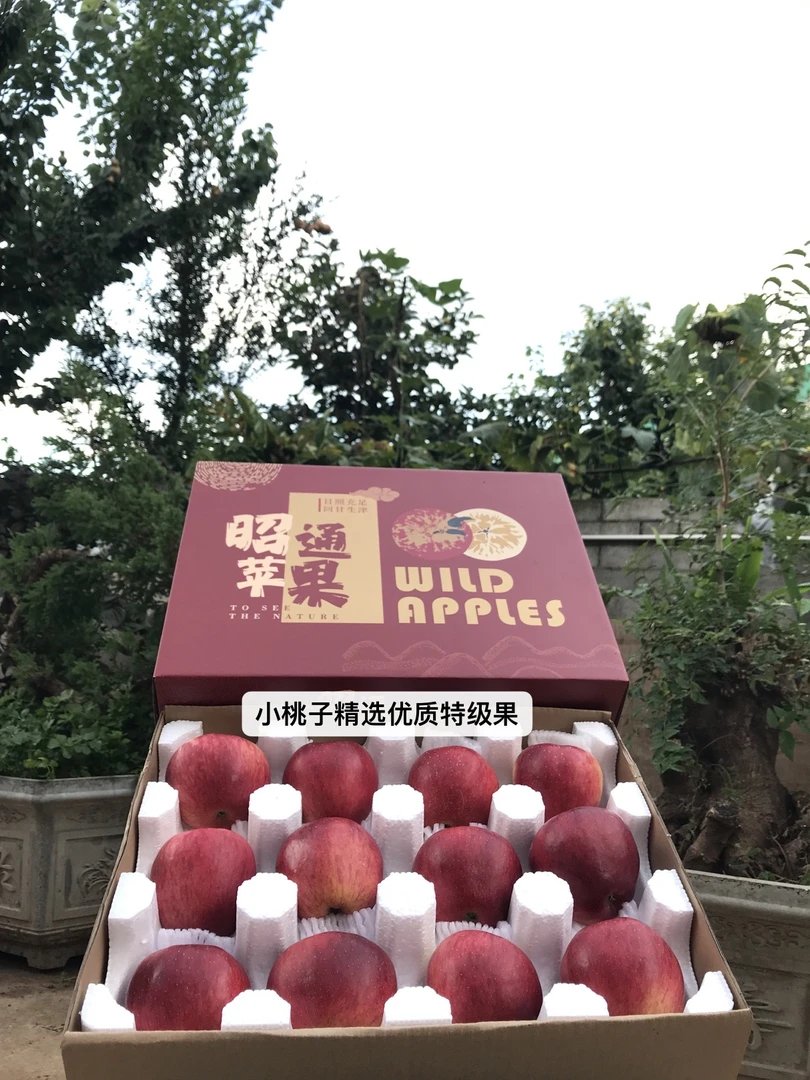 【昭通苹果】产自云南昭通，高海拔、光照足、温差大。个大饱满