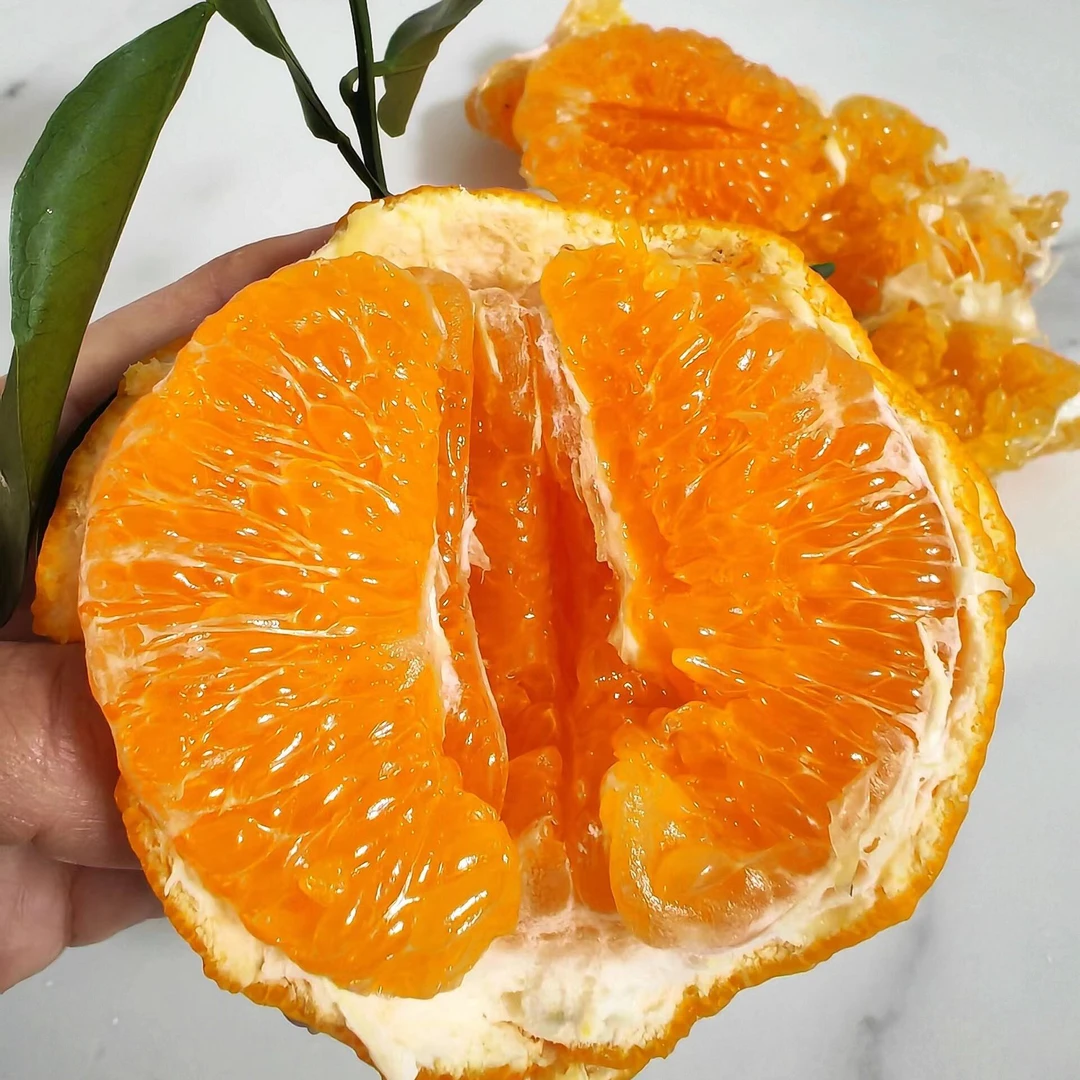 爆甜春见耙耙柑 1箱
