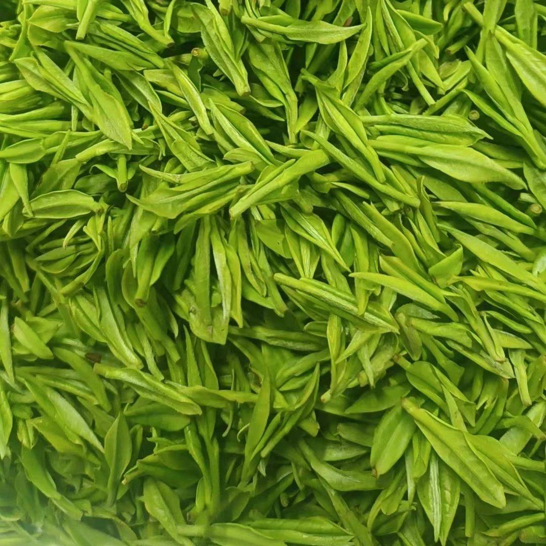 2024原产地高山明前茶500g