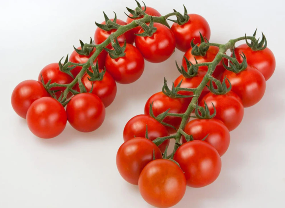 串串西红柿     750克左右