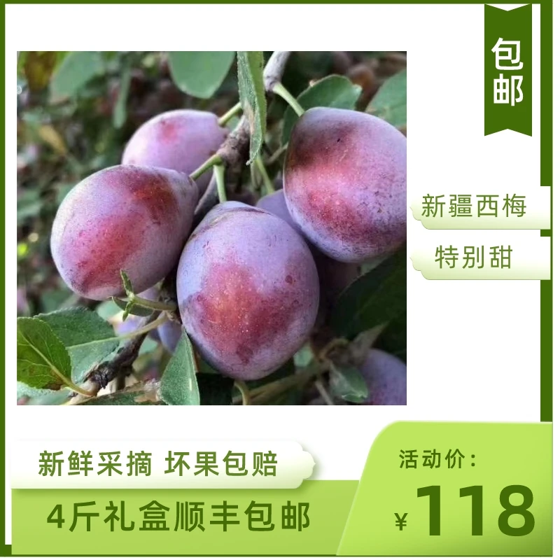 正宗新疆西梅新鲜喀什法兰西水果当季3斤4斤顺丰包邮新鲜水果
