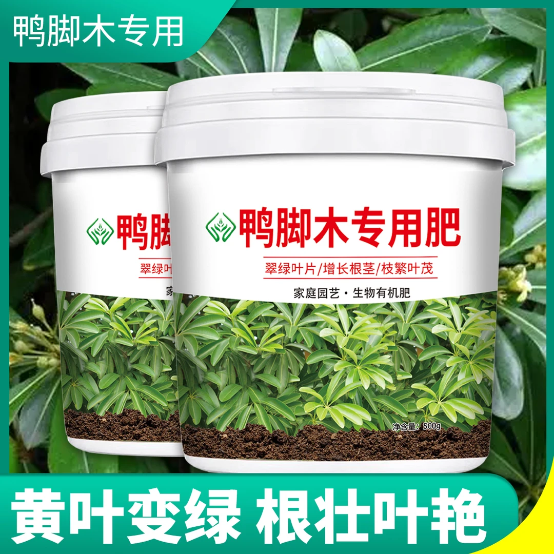 鸭脚木专用肥料营养肥鹅掌木绿萝发财树幸福树有机复合颗粒缓释肥