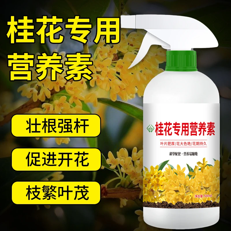 【直接喷免稀释】桂花树专用营养素微生物叶面肥料花卉营养液促开花
