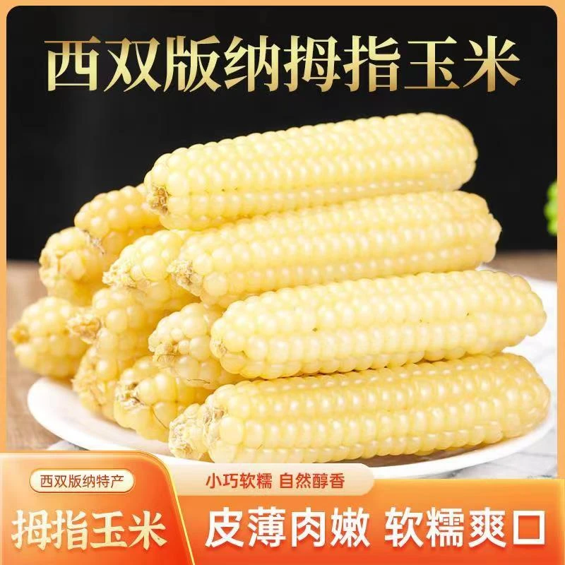 【厂家特惠】西双版纳拇指玉米 香甜软糯 营养丰富即食代餐