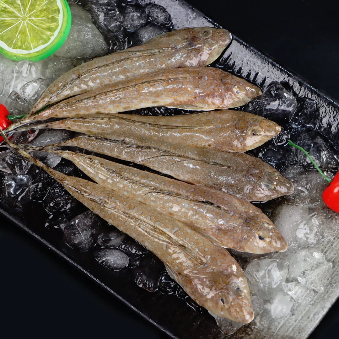 汕头海门码头浅海鱼获海鲜黄皮鸡腿鱼 鸟燕 箭头鱼 只有主刺 香煎