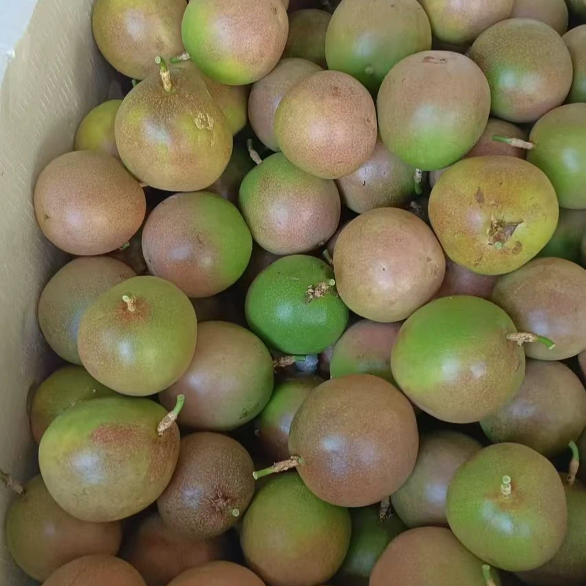 紫皮百香果香甜多汁