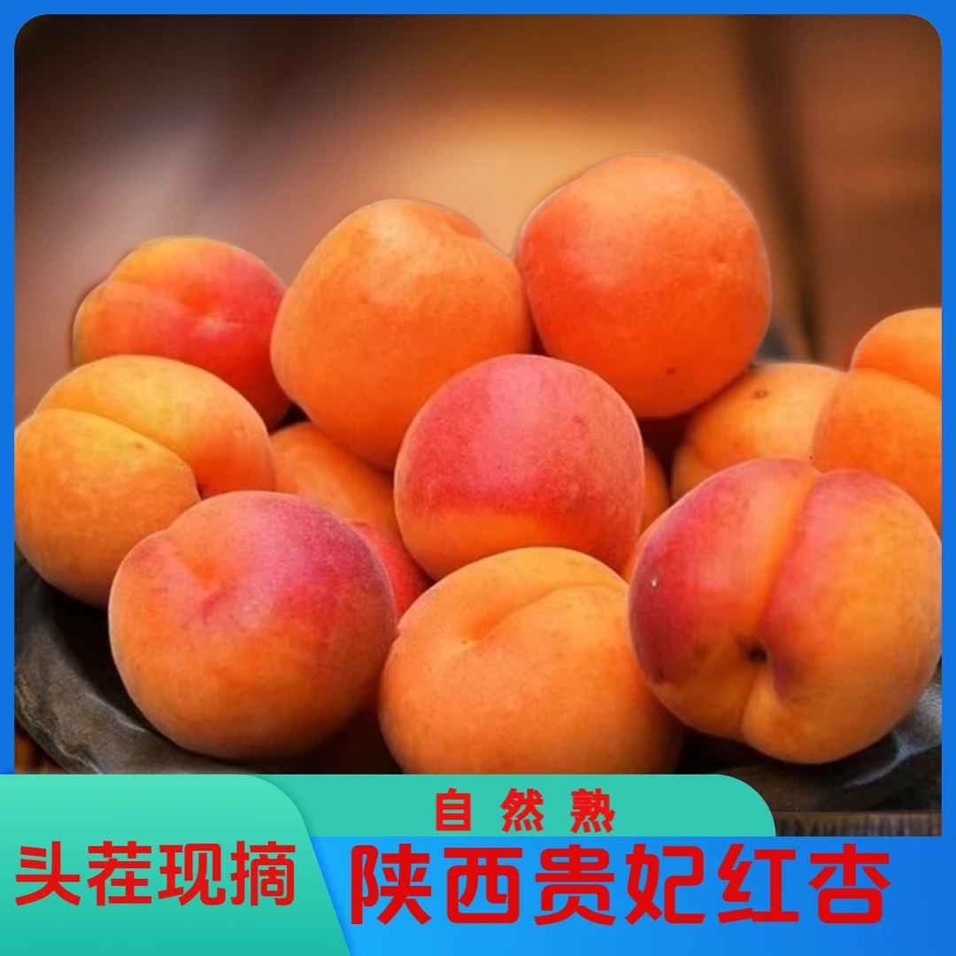 香甜软糯陕西贵妃红杏新鲜采摘当季新鲜水果孕妇水果酸甜