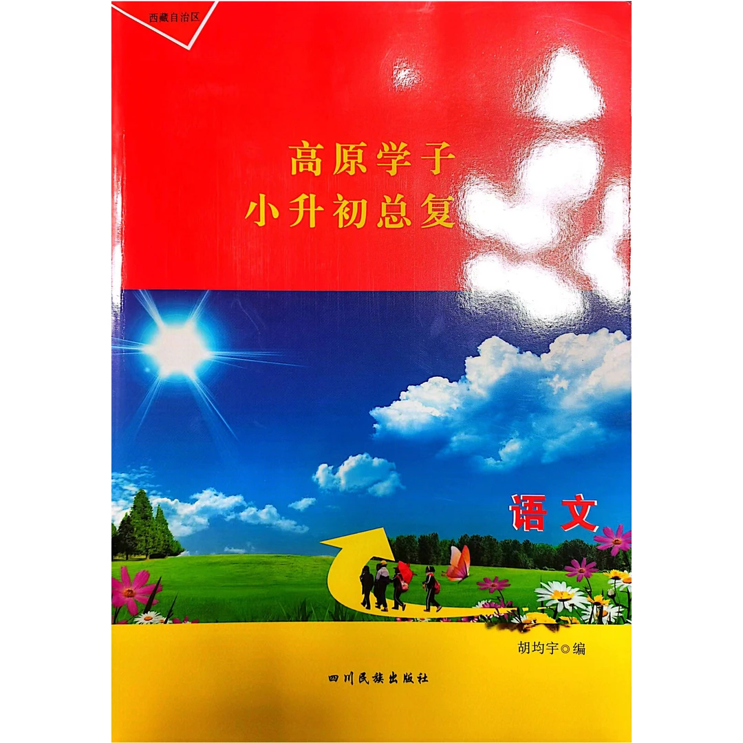高原学子汉语小升初总复习