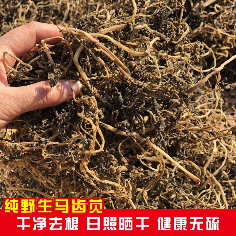 正宗野生马齿苋干货地道可泡澡泡水 五行草 马齿笕瓜子菜叶菜250g