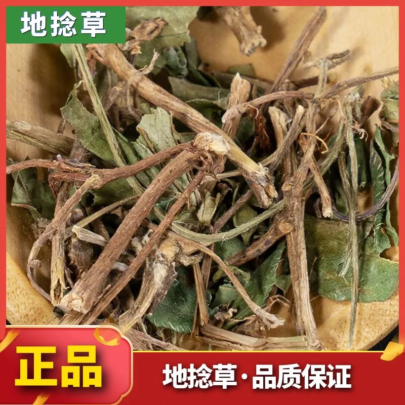 【地捻草】正品地念草地稔根铺地锦当季新货晒干250g500g叶菜泡水