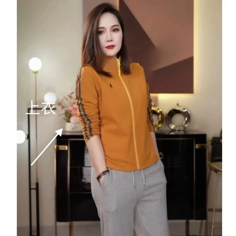 小马刺绣运动风两条杠长袖立领外套2024秋冬开衫时尚减龄显瘦卫衣