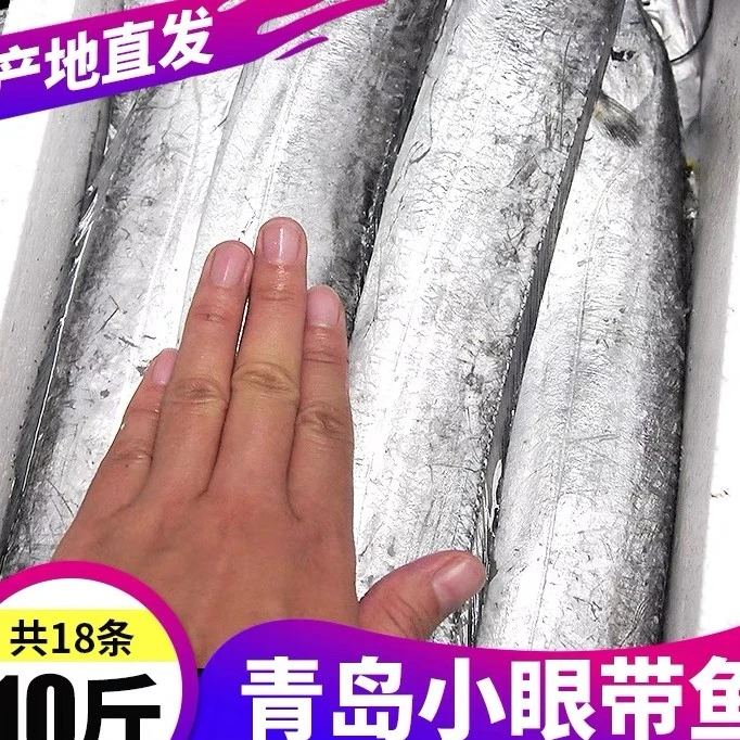 【小伍】舟山野生带鱼 肉多 刺少 深海刀鱼 活体速冻 整箱10斤 包邮