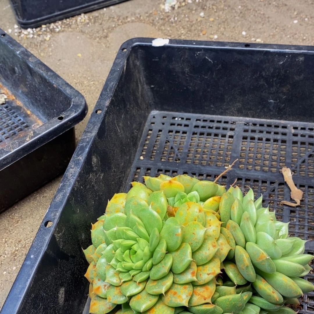 720的点点滴滴点点滴滴