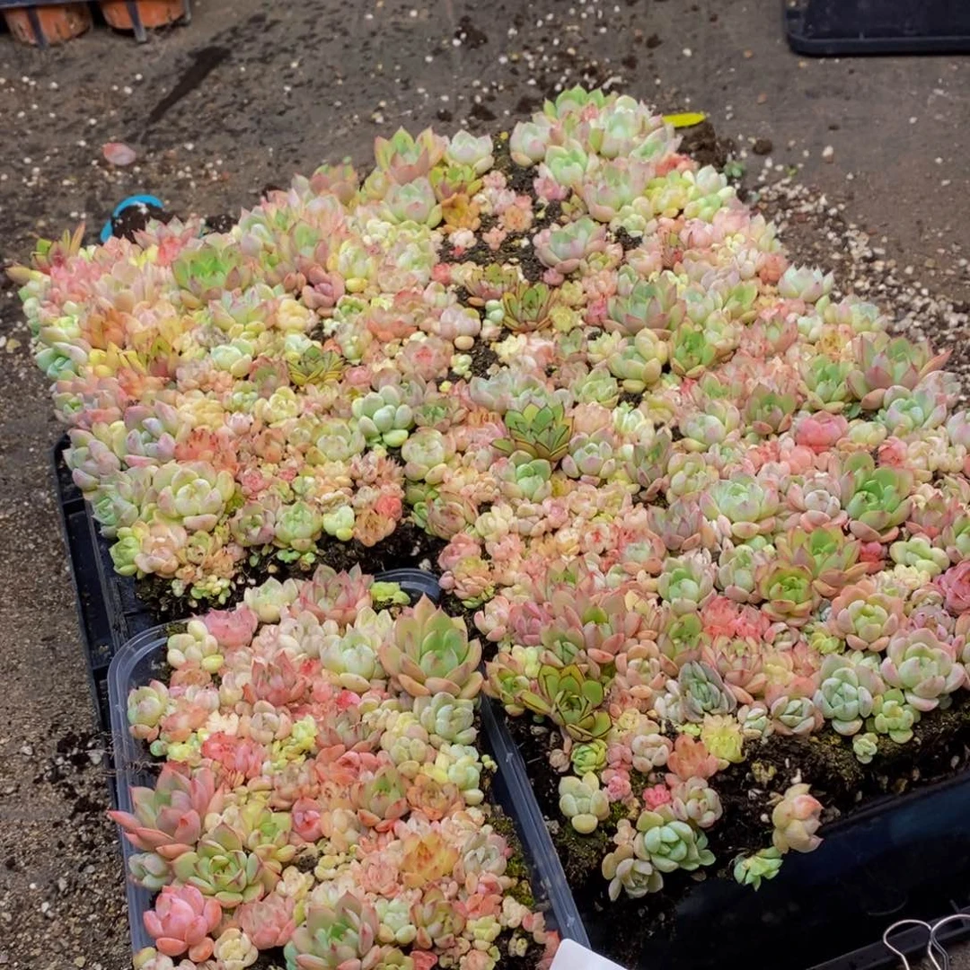 057的人在一起的时候就