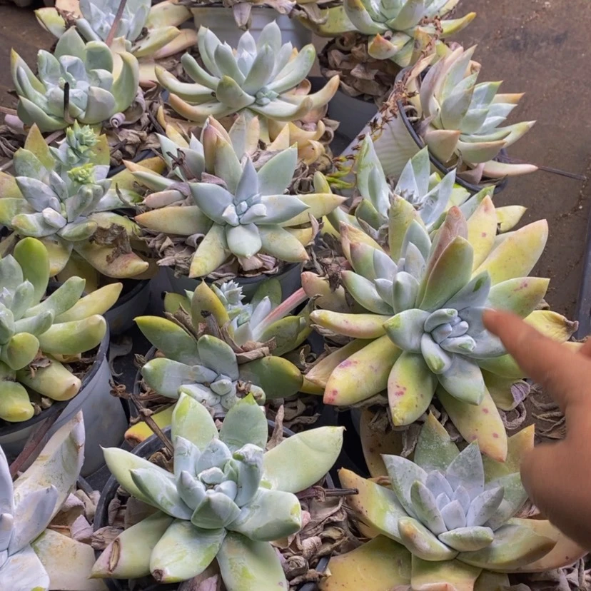 【闪购商品】220...