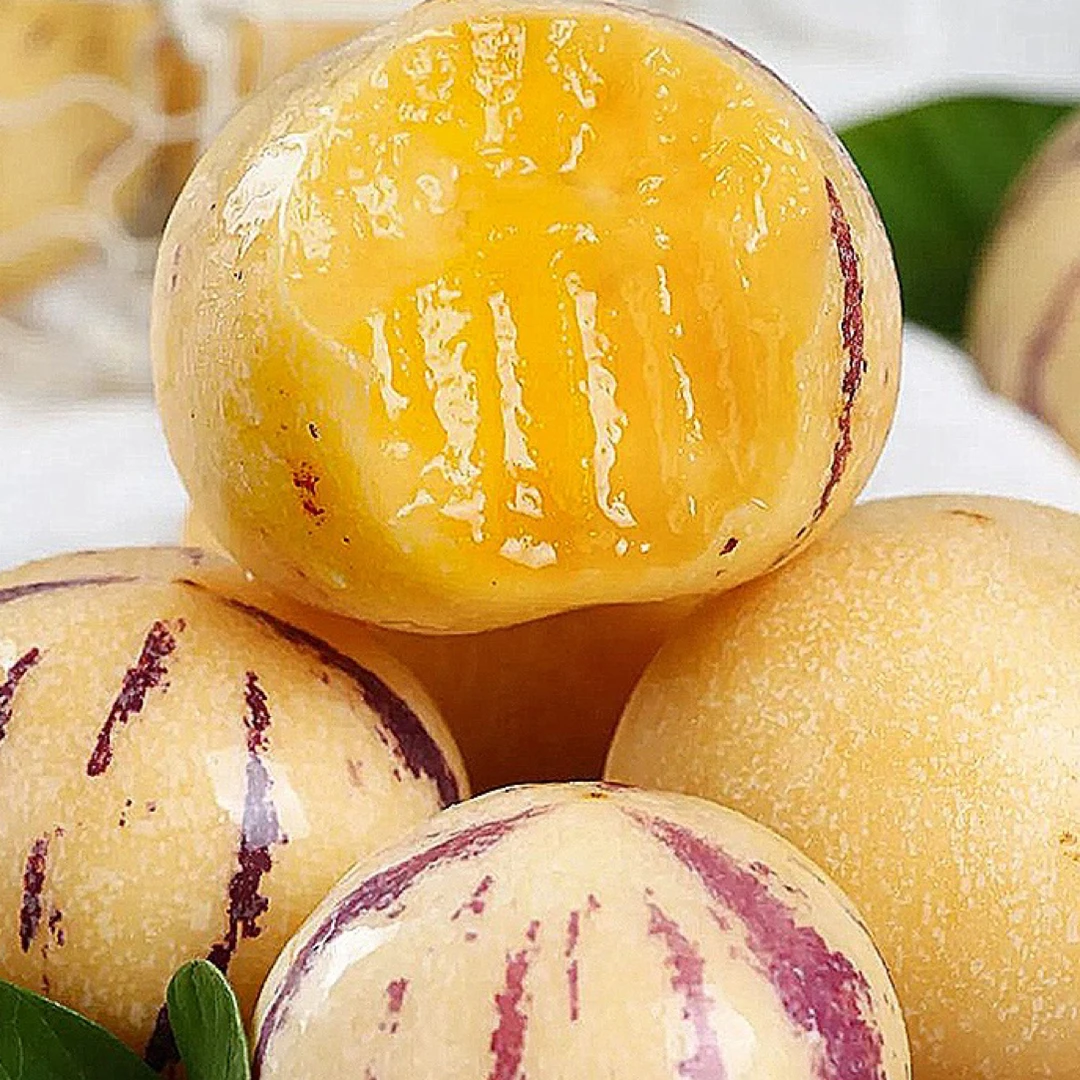 「云南石林」树熟人参果自然成熟（新鲜清甜）