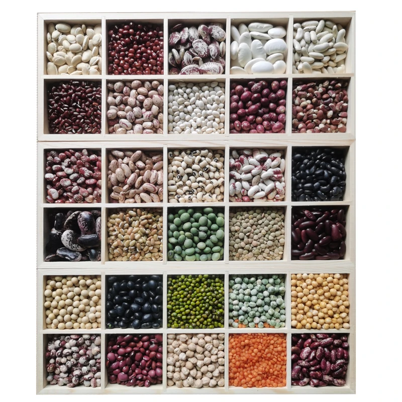 35种豆类自选独立包装杂粮杂豆粗粮豆子花红芸豆菜扁豆鹰嘴豆腰豆