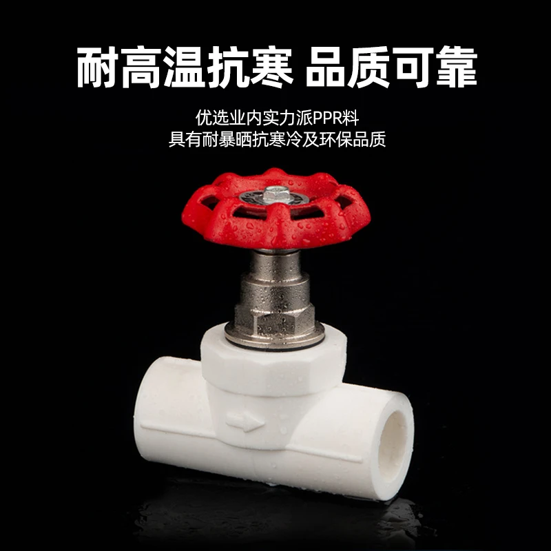 ppr截止阀4分20 25 32升降式止水阀门开关pe水管铜阀芯配件闸阀40