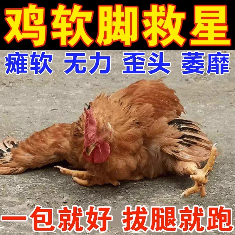 鸡瘫痪鸡软脚病鸡鸭鹅瘸腿瘫痪脚软站不稳关节肿大专用黄芪多糖