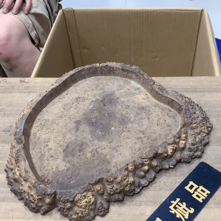壶哈哈哈哈木哈哈哈哈哈