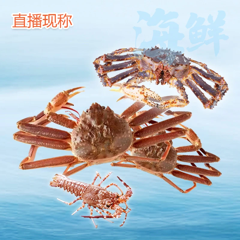 现称直播 帝王蟹长脚蟹板蟹 鱼虾蟹等海鲜水产 冰鲜发货 不包活