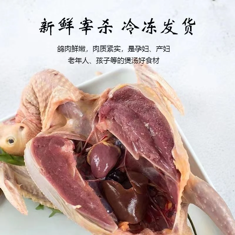 【顺丰包邮】新鲜现杀乳鸽新鲜农家土鸽子乳鸽飞鸽现杀煲汤营养