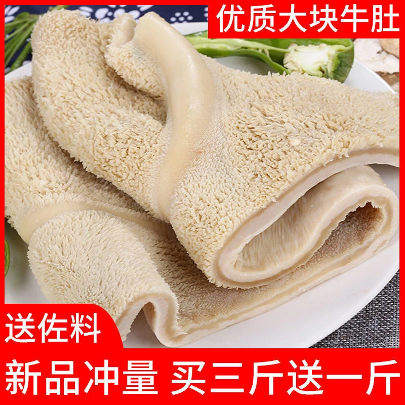 新鲜牛肚子冷冻半成品非全熟火锅食材生金钱肚毛肚整块黄牛肚批发