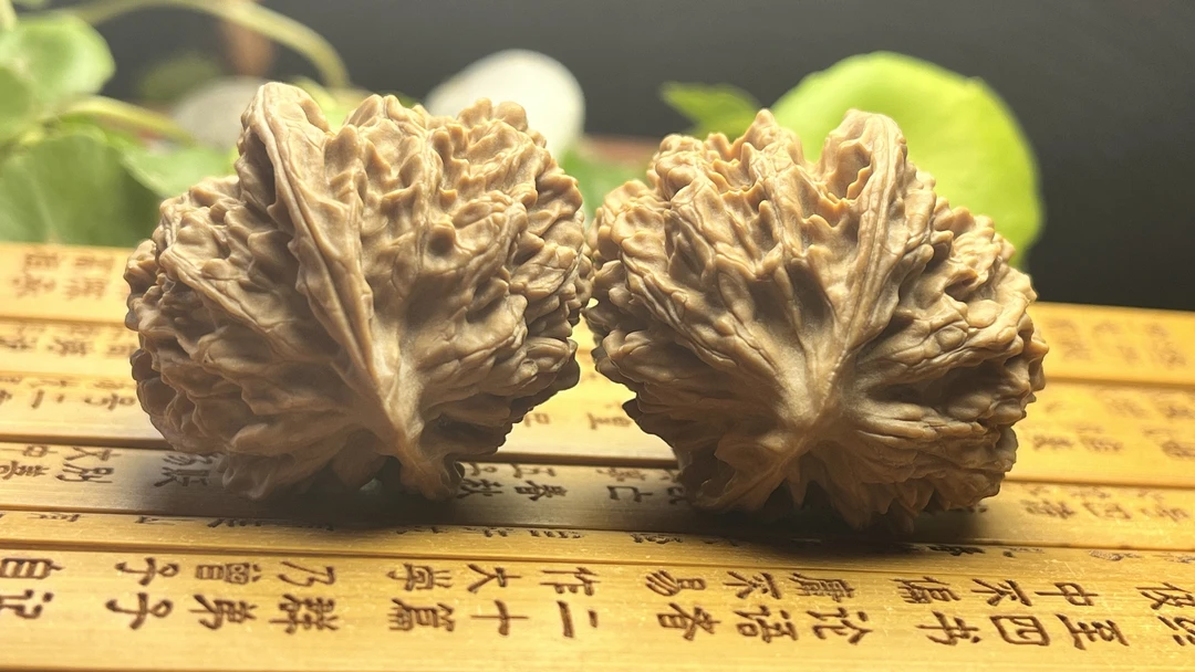 山地小众【红灯笼】，默认随机发货！如需挑选请与商家联系！