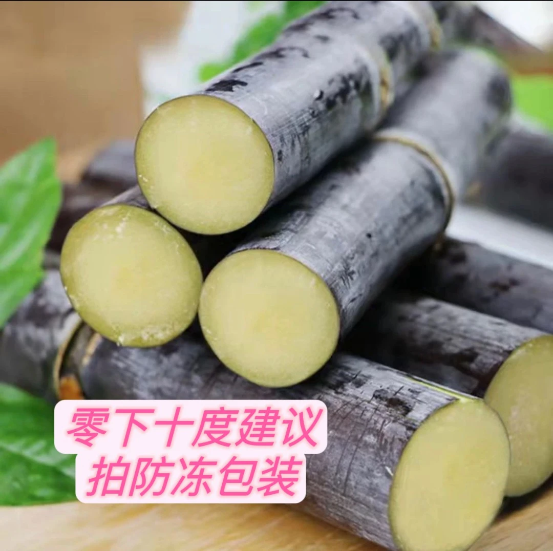 广西防城港十万大山黑皮果蔗5斤 9斤新鲜食用原产产品多汁