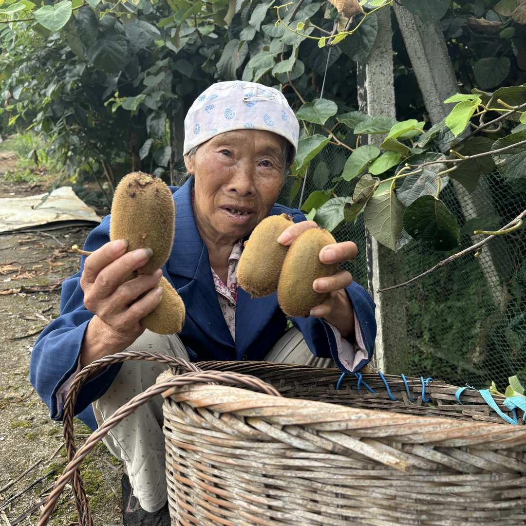 湘西富硒米粮一号绿心猕猴桃新鲜奇异果当季水果现摘现发
