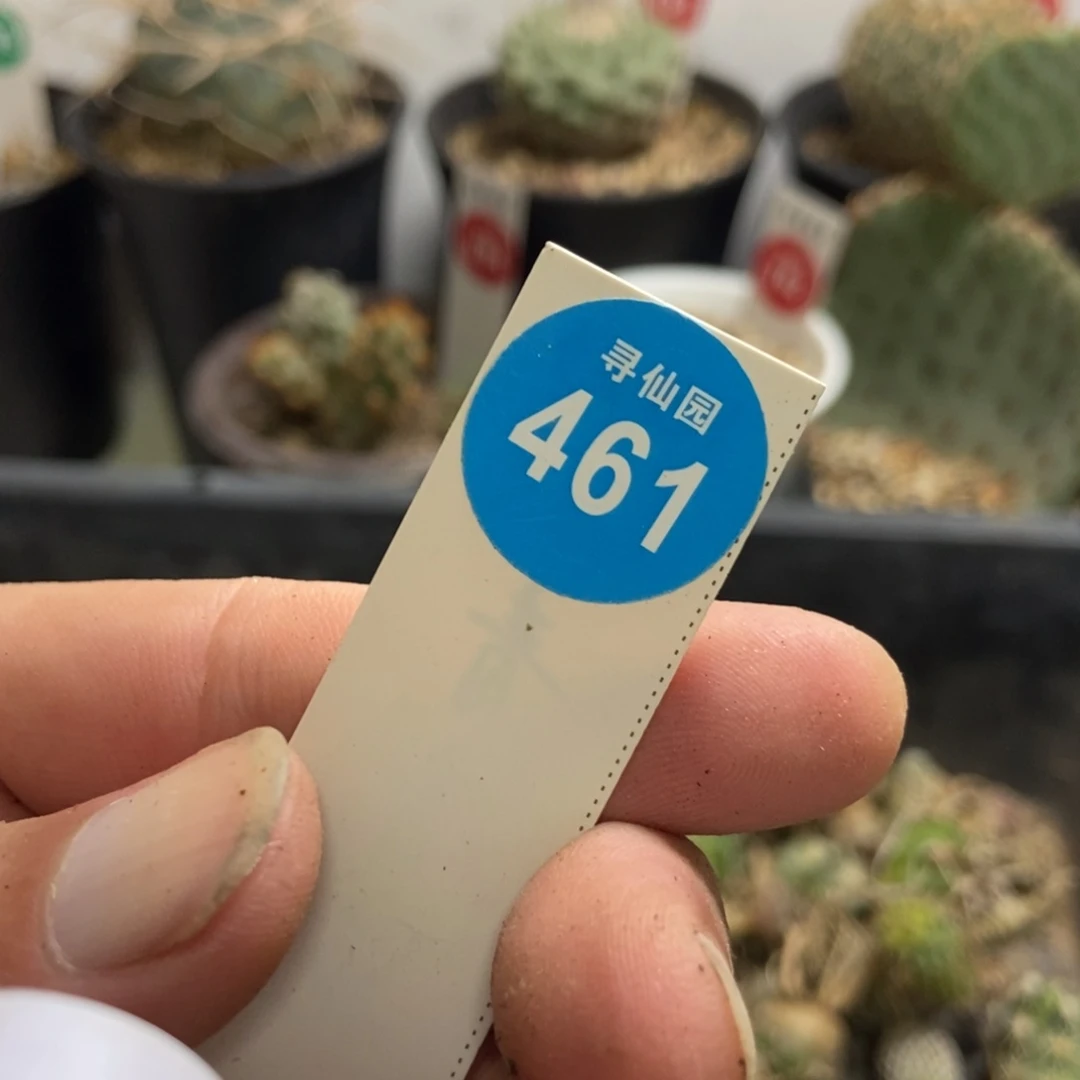 芊芊专拍12121212