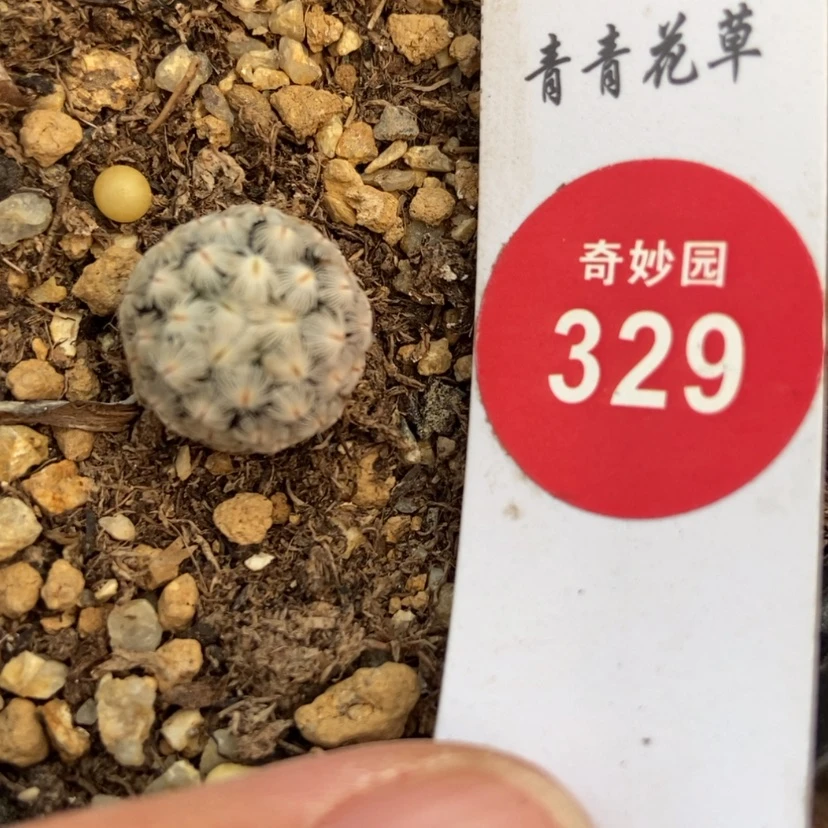 【闪购商品】实生羽毛球1.5cm