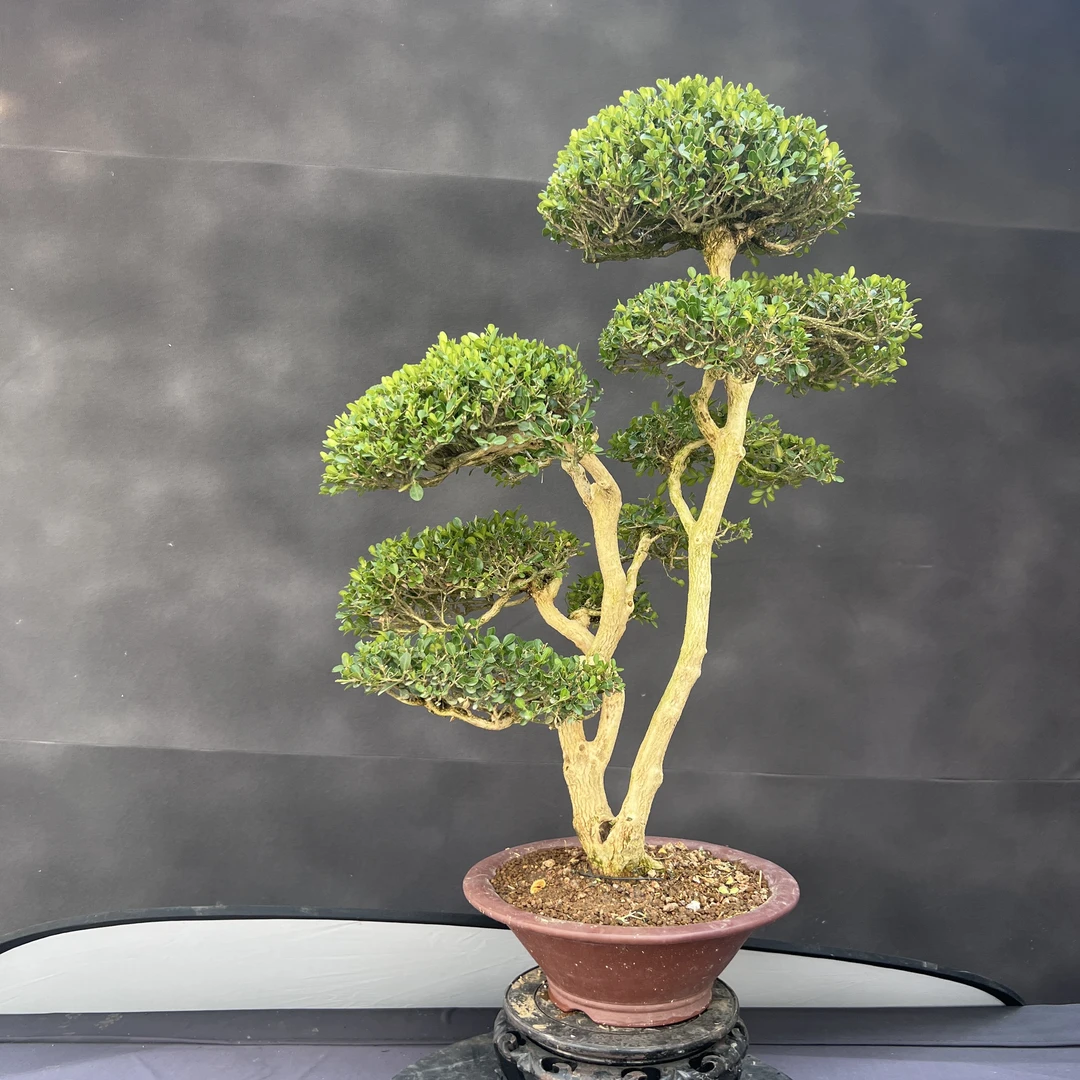 斗山精品直播间.一物价