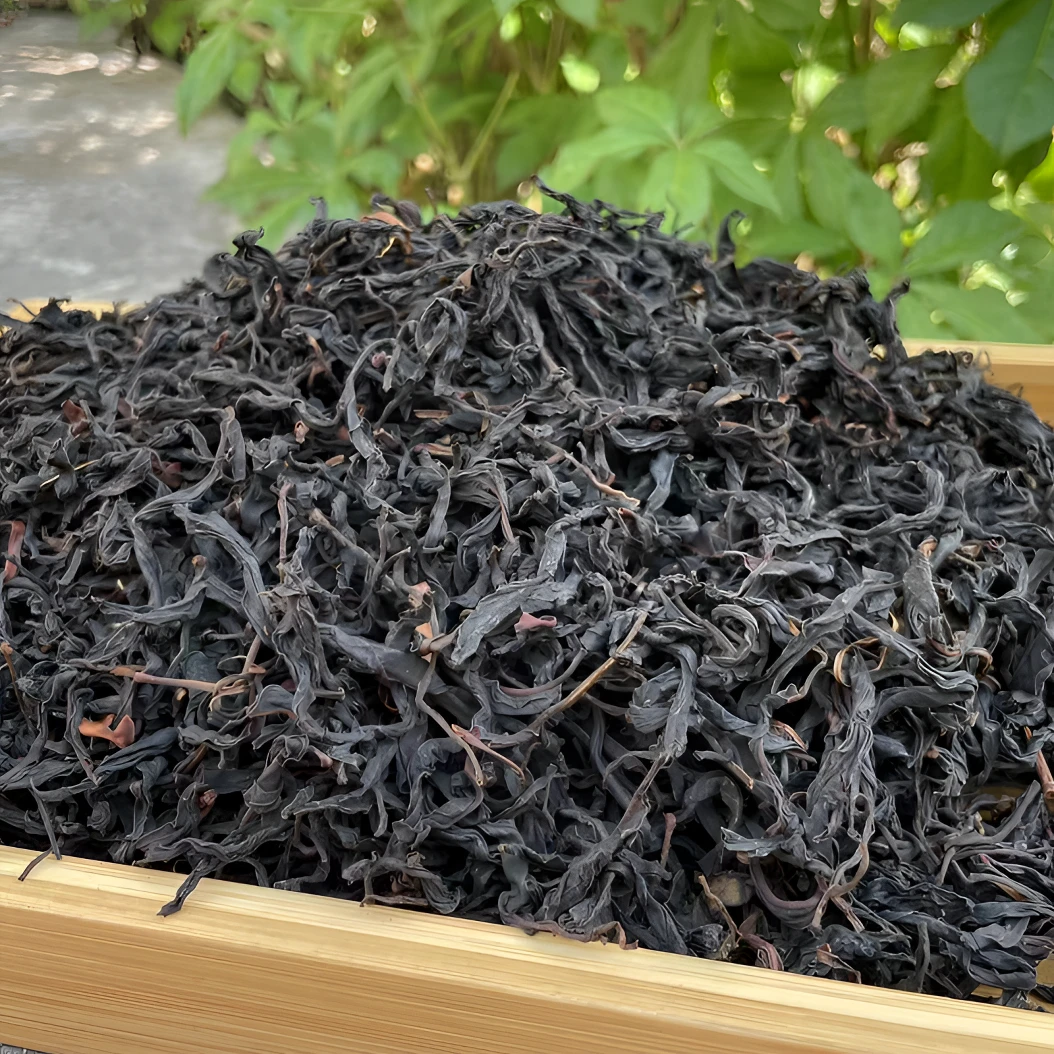 云南野放单株古树茶果香馥郁甜润明前春茶叶荒野2025新茶