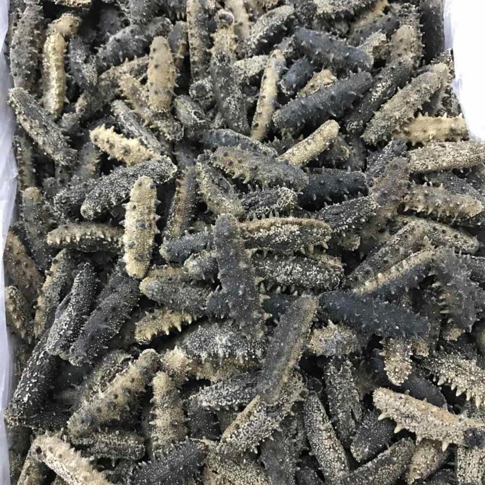 瑞雪堂淡干辽参四十头一斤装