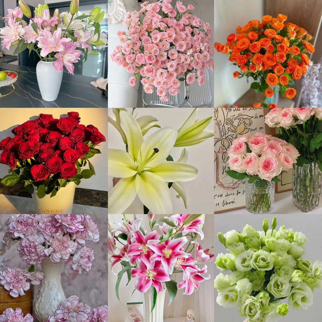 【云上花田】云南鲜花自选  满4单鲜花包邮 玫瑰香水百合基地直发