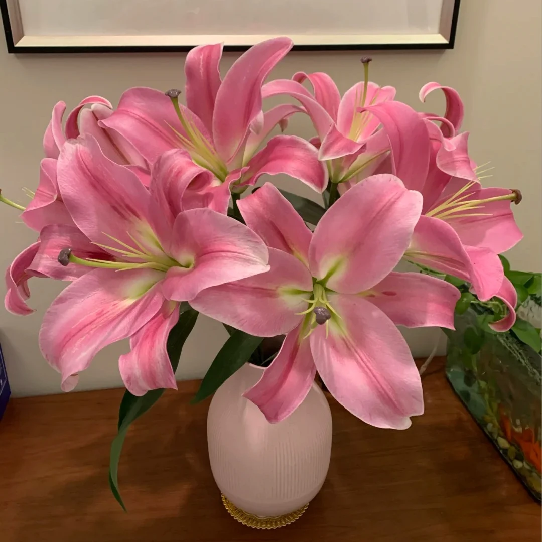 【源头优选】普拉芬多百合-任意2单鲜花包邮 发货后不支持退款