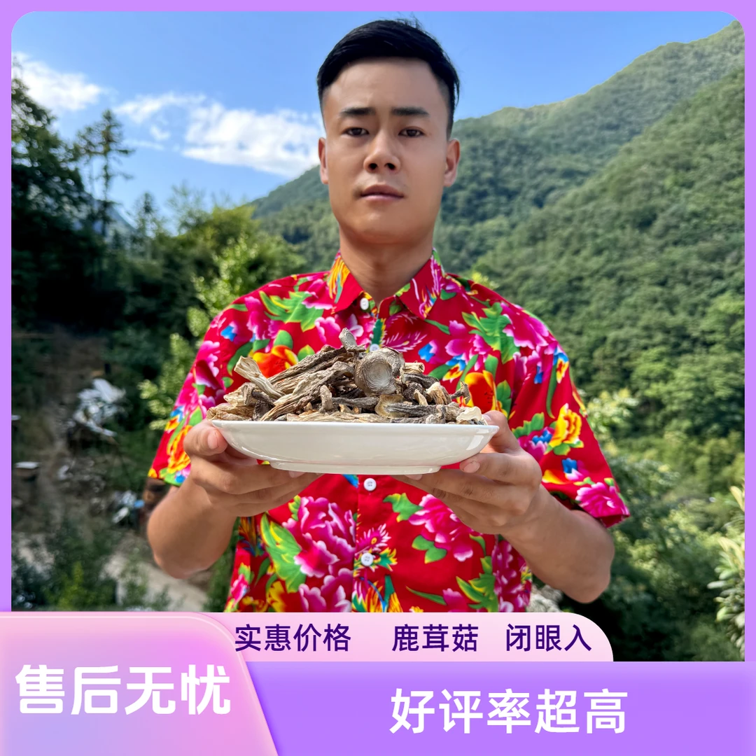 鹿茸菇（自然晾晒）烹饪香味多种脆嫩鲜美鲜香美味