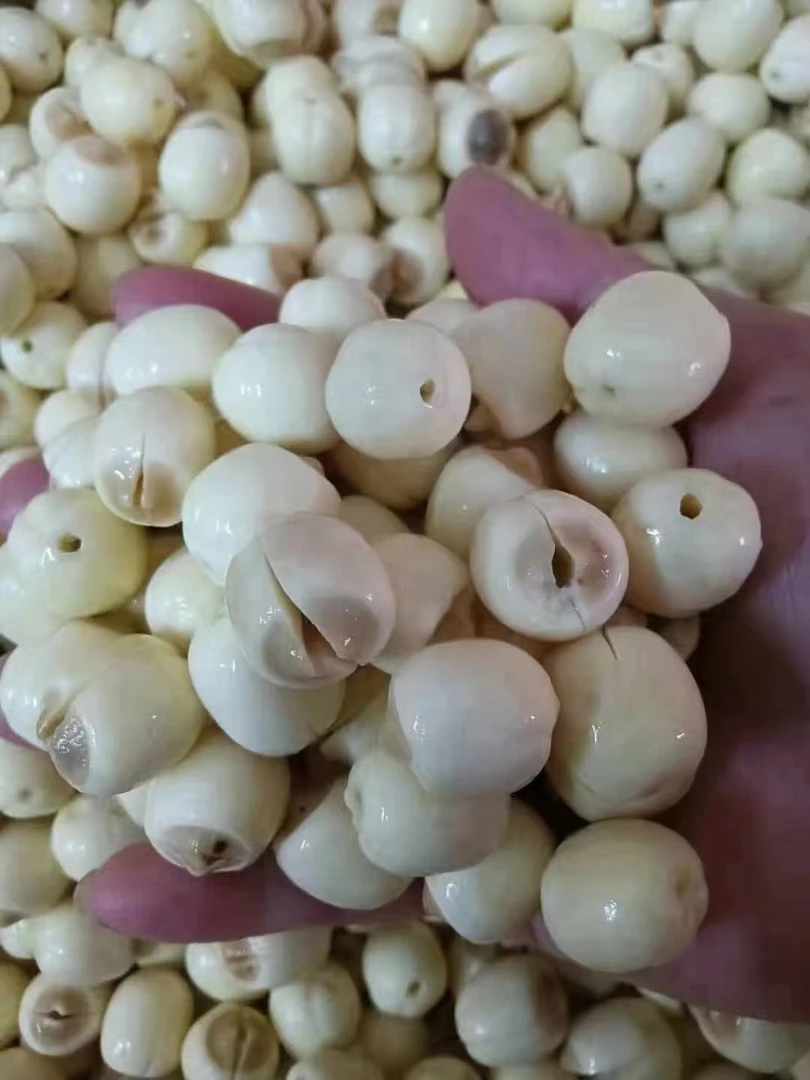 湖南新鲜去芯白莲农家自种