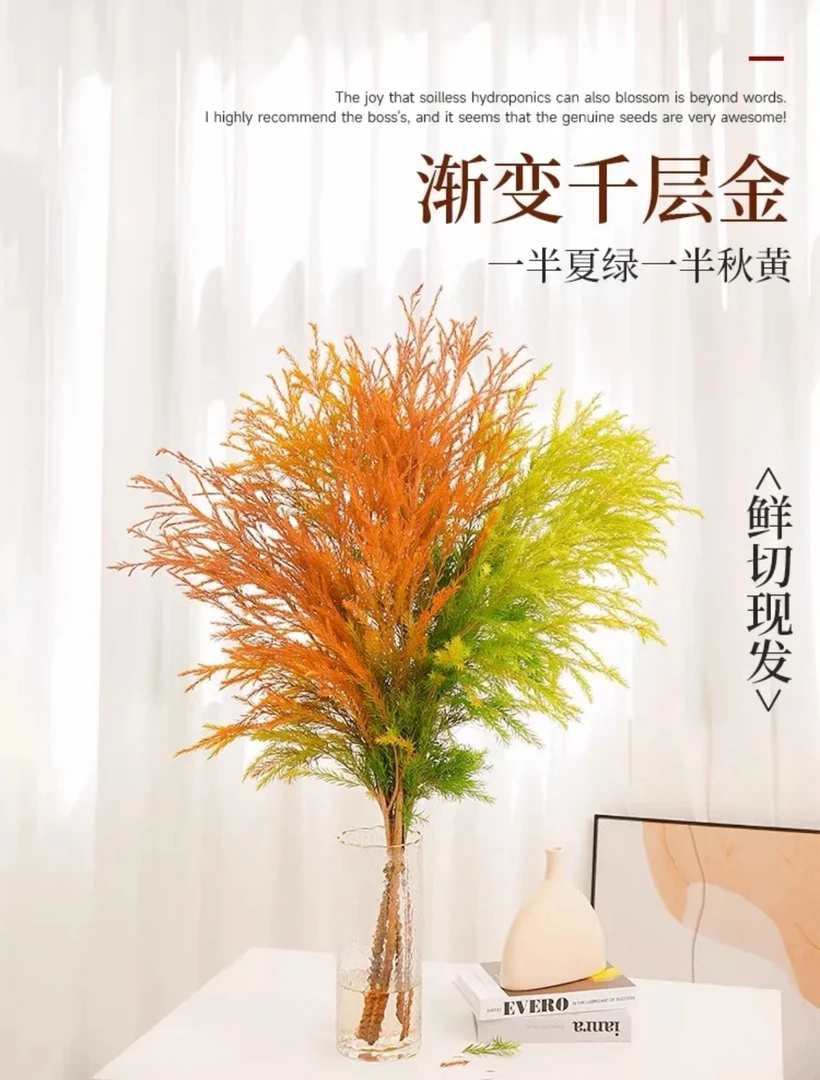 干层金黄金香柳吸色云南鲜花室内摆放风干可做干花永生花顺丰包邮