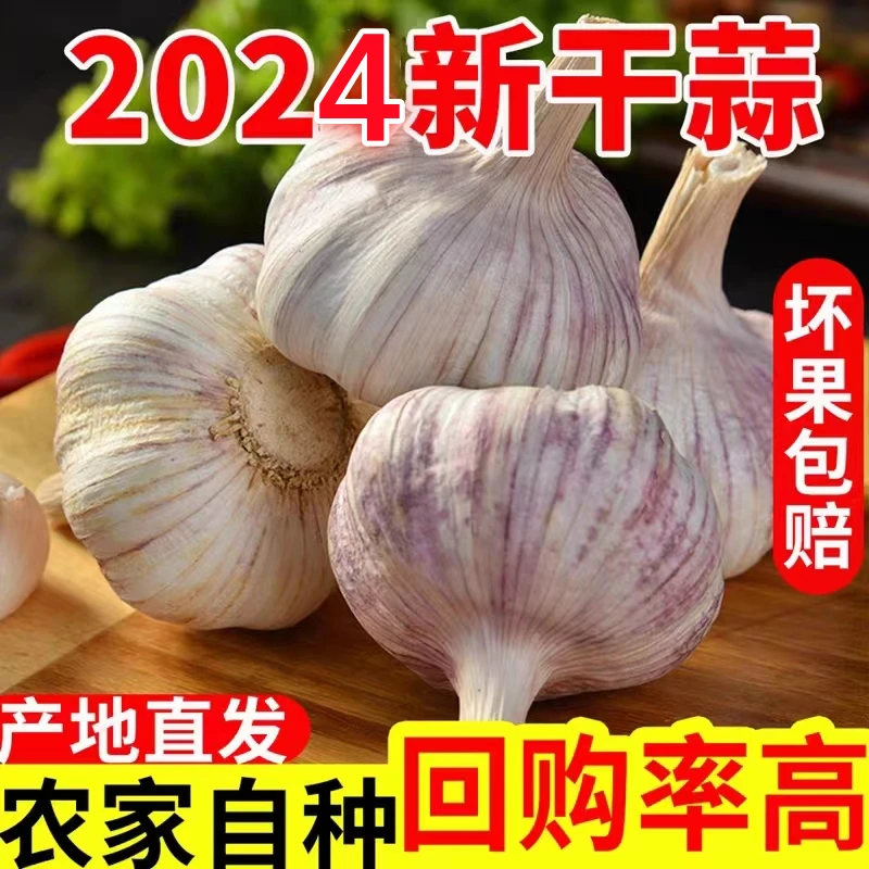 【超低价】新蒜干蒜大蒜头大蒜批发5斤河南紫皮大蒜1斤炒菜必备