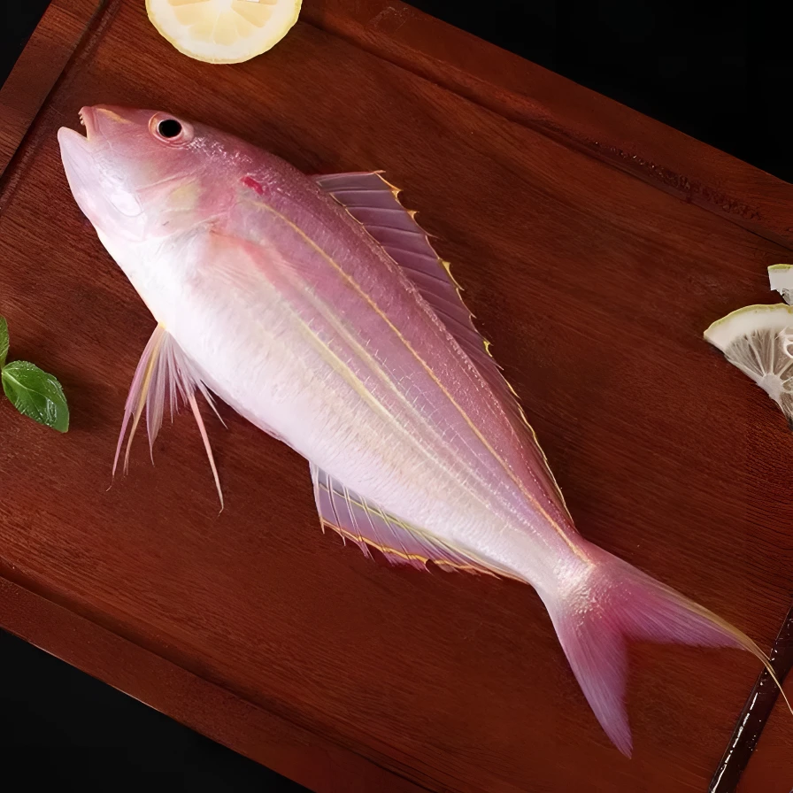 《添记海鲜》红杉鱼，金线鱼保鲜/冷藏发货食用