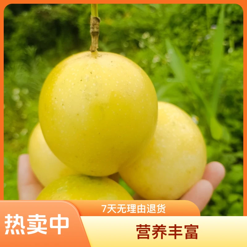 香享农生鲜皱皮1/5斤黄金百香果口感广西九号特大百香果云南