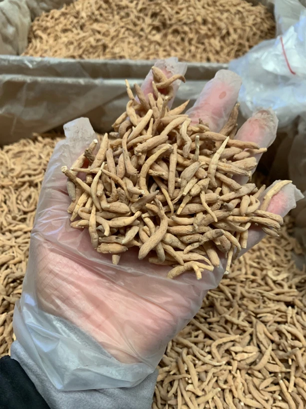 太子参 净重250g/500g
