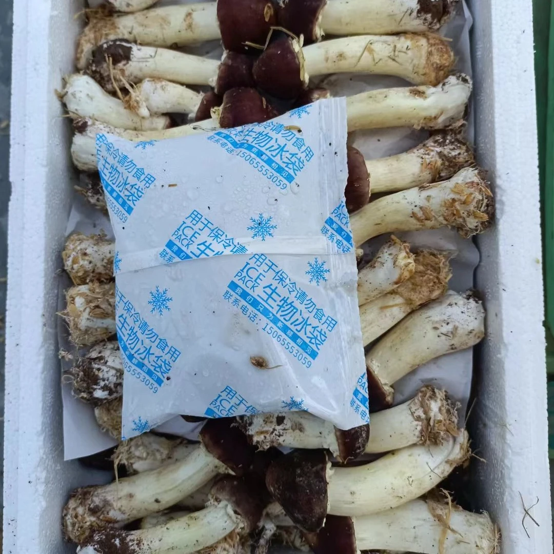 赤松茸通货实惠装，基地直发顺丰包邮到家