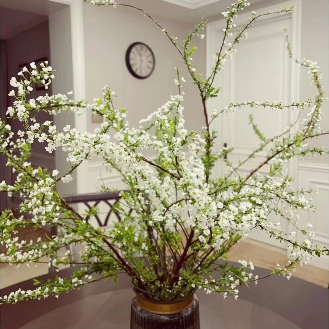 （雪柳）枯木逢春遇水开花东北鲜花原产地顺丰包邮办公室居家