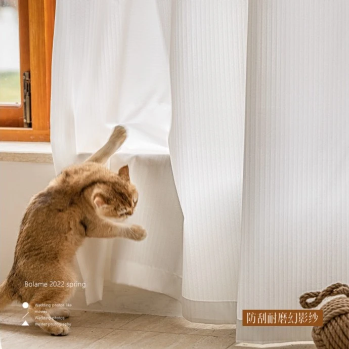 窗帘纱帘金刚幻影纱透光不透人窗纱飘窗客厅阳台白色白纱防猫抓纱