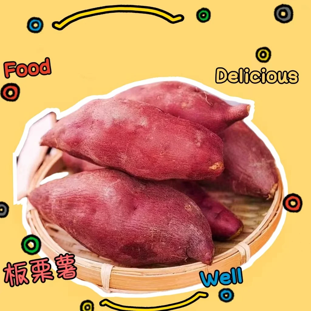 山东正宗板栗薯香甜粉糯黄心红皮5斤9斤