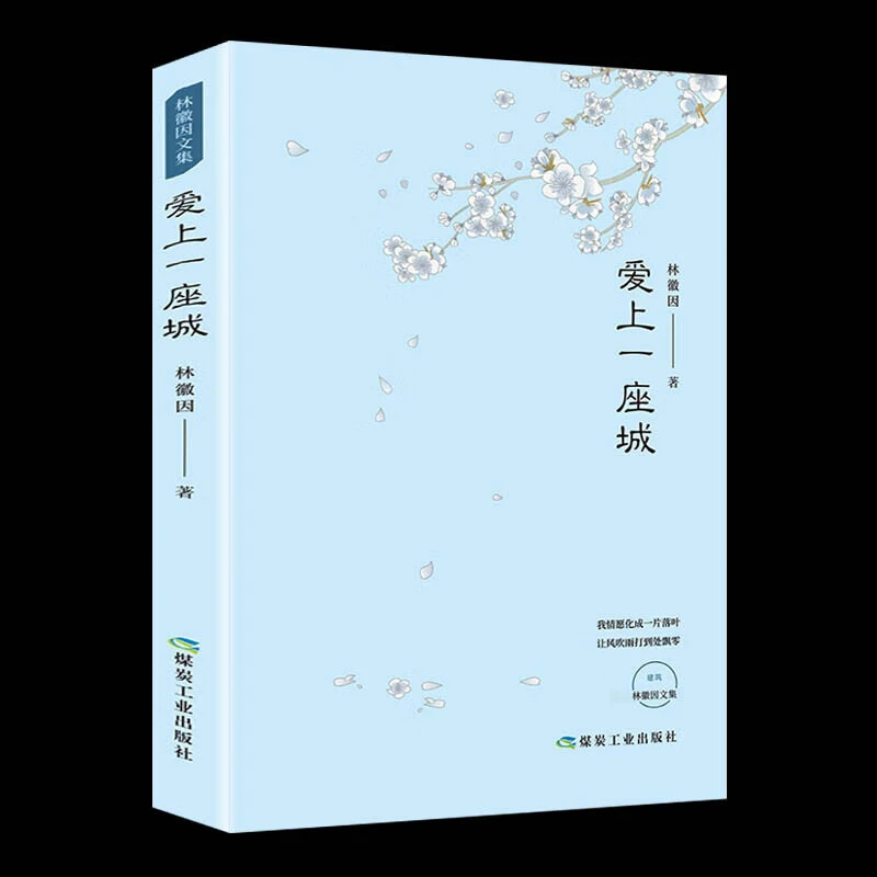 林徽因作品爱上一座城 百年经典全收录名人传记现代散文青春文学