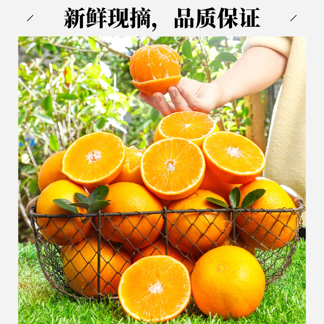 5斤眉山爱媛果冻橙 闭眼入 散称【滕州地区下单即配送到家】